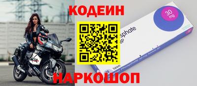 стафф Камышлов