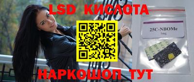 стафф Камышлов