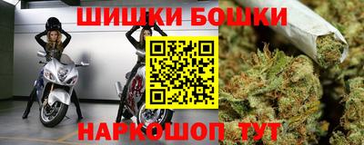 стафф Камышлов