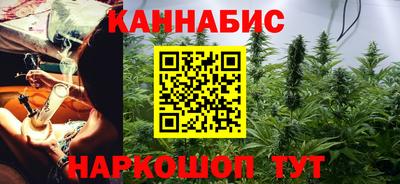 стафф Камышлов