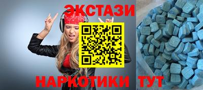 стафф Камышлов