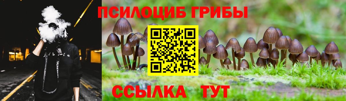Псилоцибиновые грибы прущие грибы  Вход с VPN  хочу наркоту  Грязи 